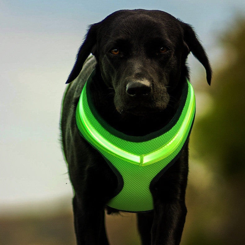 Lataa kuva gallerian katseluohjelmaan LED Luminous Dog Harness Led USB Charging Dog Chest Strap Vest Pet Safety Reflective Harness Pet Vest For Puppy Large Dog Pet Products
